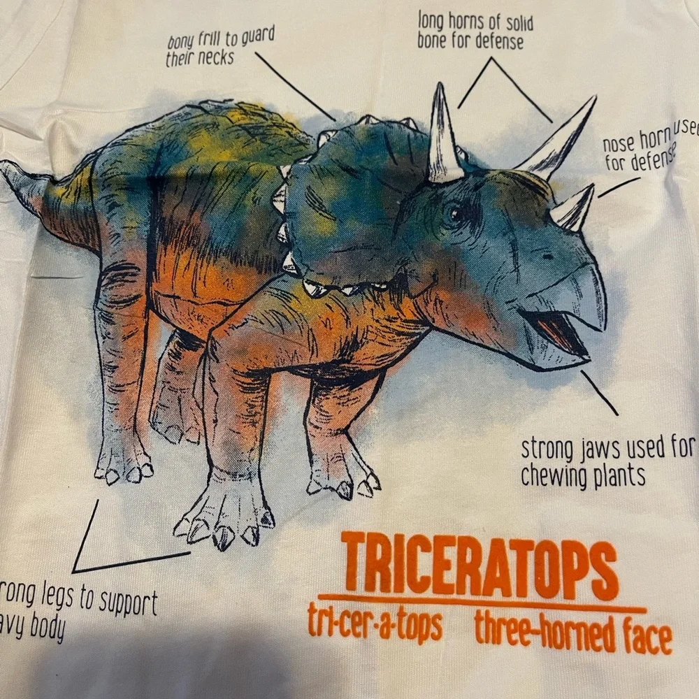 Carters Boys Dino Tee NWT